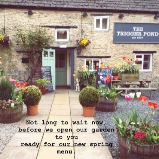 The Trigger Pond