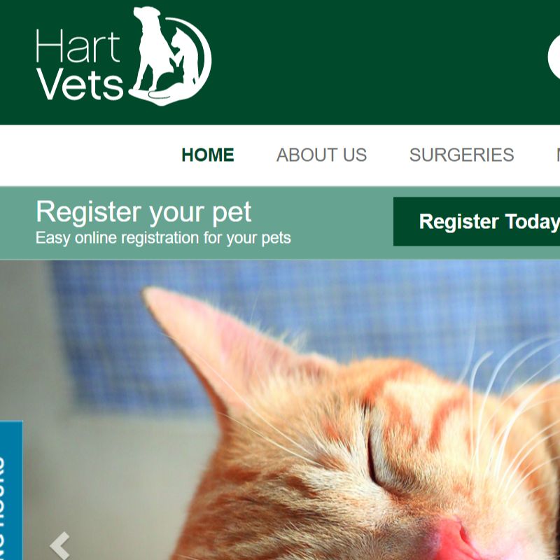 Bicester Vets