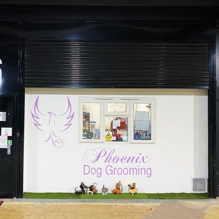 Phoenix Dog Grooming