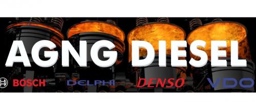 AGNG PUMPS &INJECTORS SERVICE LTD